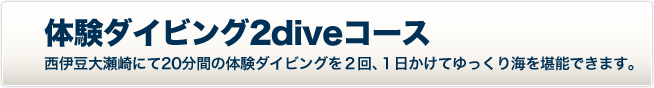 体験ダイビング2diveコース 西伊豆大瀬崎にて20分間の体験ダイビングを2回、1日かけてゆっくり海を堪能できます。